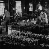 Knife Factory