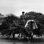 Farmer's horse cart brings harvest from Smolrnsk to Minsk