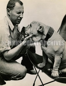 Cooke and bulldog, NY 1952
