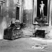 Courtyard cat, Rome