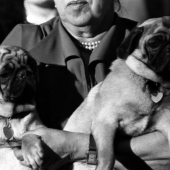 Dog-show contestants, 1957