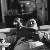 Sunbather and dog, 1954