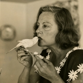 Tallula Bankhead feeding a parakeet, Bedford, NY, 1953