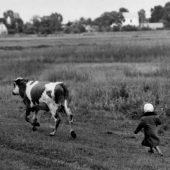 Child running after a cow, Russia, 1958