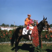 1956 Needles