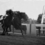 1957 Iron Liege