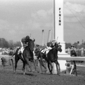 1958 Tim Tam 3