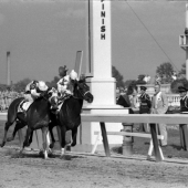 1959 Tomy Lee