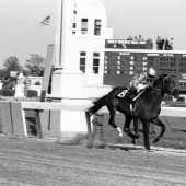 1965 Lucky Debonair