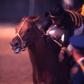1969 Majestic Prince