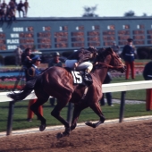 1971 Canonero ll