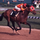 1974 Cannonade