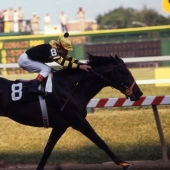1977 Seattle Slew