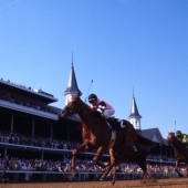 1978 Affirmed