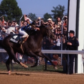 1979 Spectacular Bid