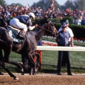 1981 Pleasant Colony