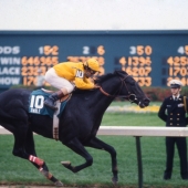1984 Swale