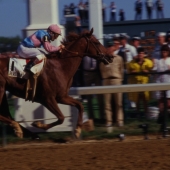 1986 Ferdinand
