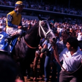 1988 Winning Colors