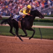 1989 Sunday Silence