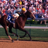 1990 Unbridled