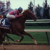 1991 Strike the Gold