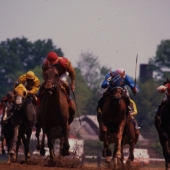 1995 Thunder Gulch
