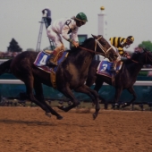 1996 Grind Stone