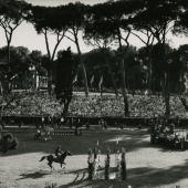 1960 Olympics equestrian events, Villa Borghese, Rome, Italy