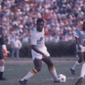 Pele