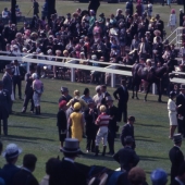 Horses jockeys trainers and owners.