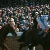 The Royal Ascot Race