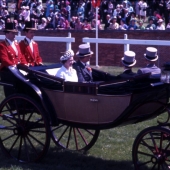 Ascot: Queen in horse drawn carriage