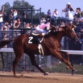 1 - Affirmed  1978