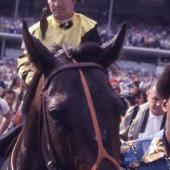 3 - Seattle Slew  1977
