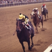 1 - Seattle Slew  1977