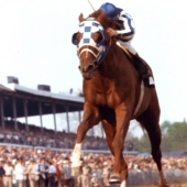 1 - Secretariat  1973