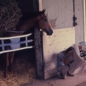 3 - Secretariat 1973