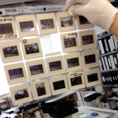 JCA Studio
